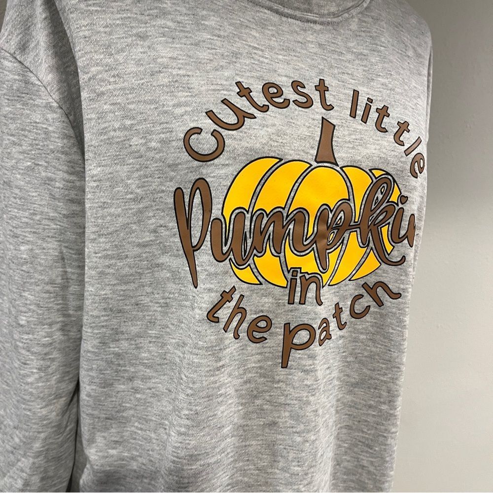 Gray Pumpkin‎ Graphic Sweatshirt - Picture 3 of 11